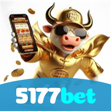 5177bet visual