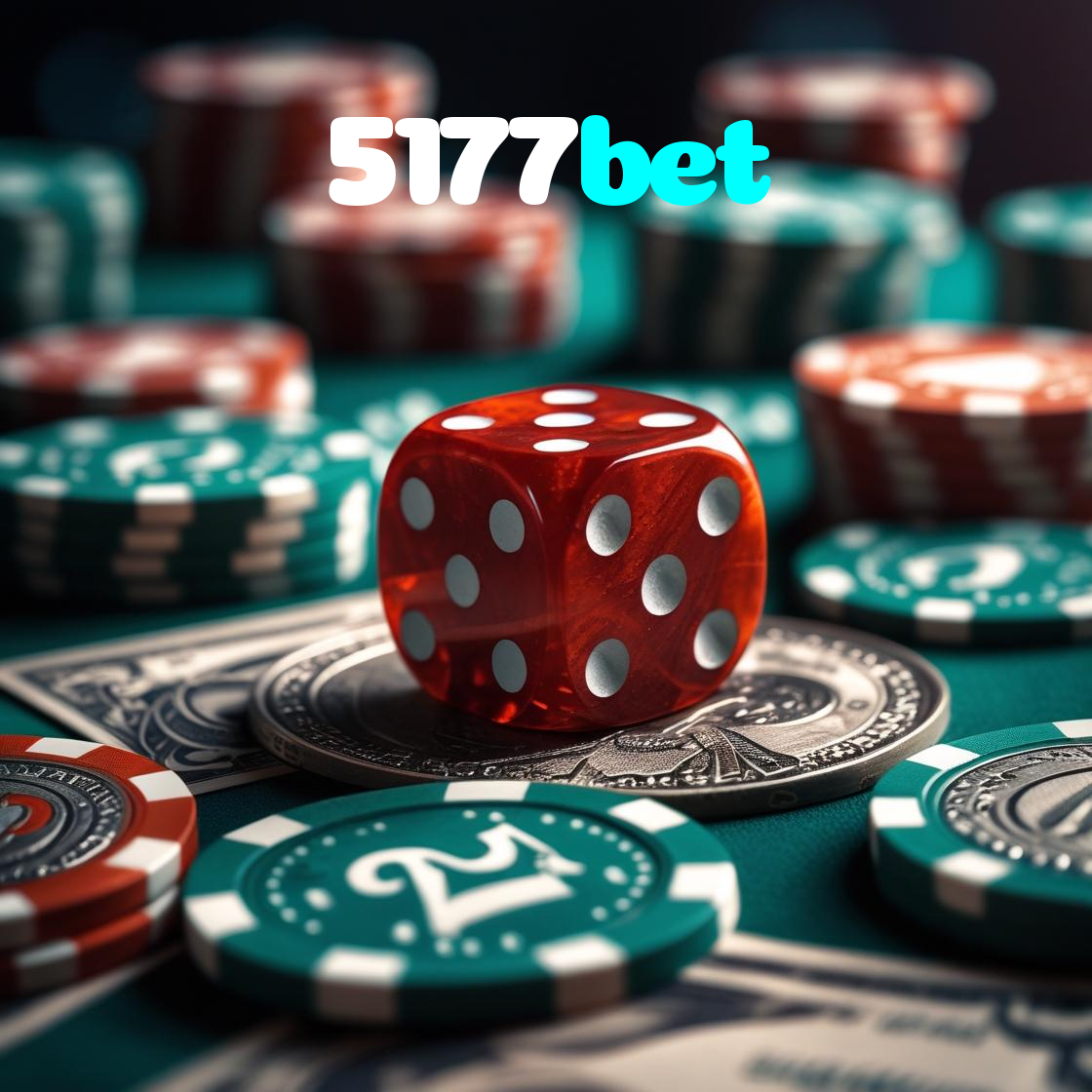 5177bet visual