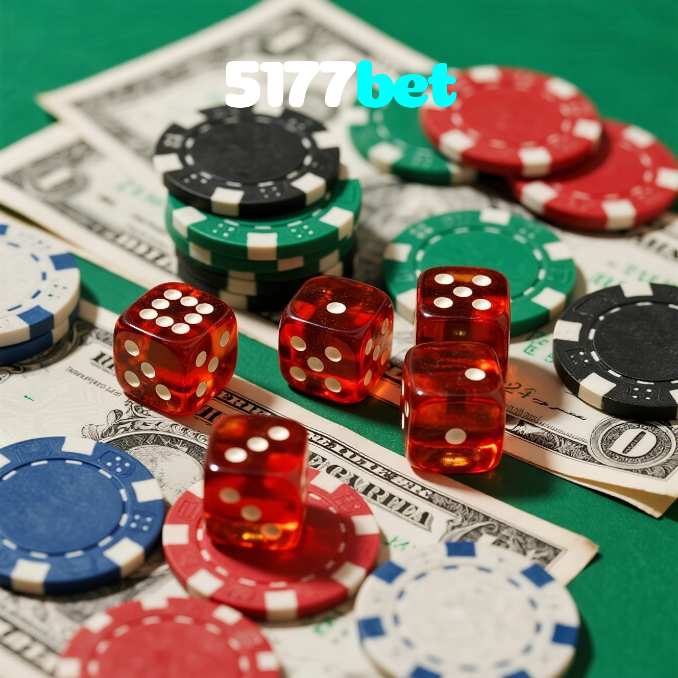 5177bet visual