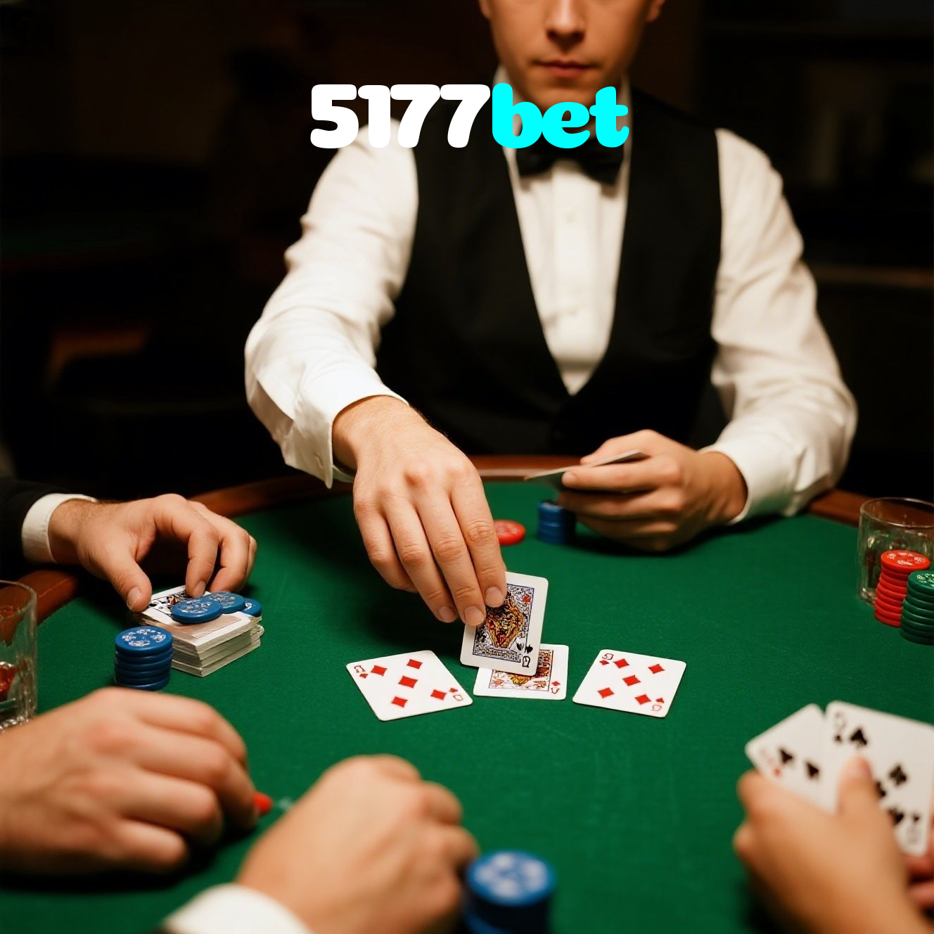 5177bet visual