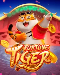 5177bet